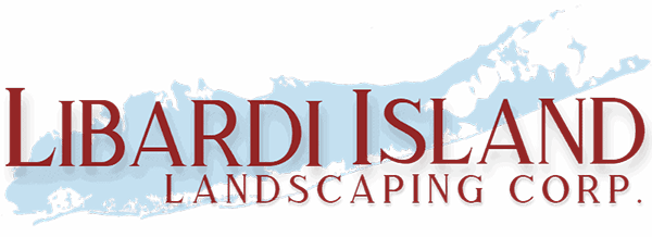 libardi island logo