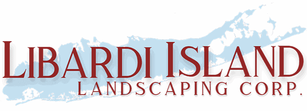 libardi island logo