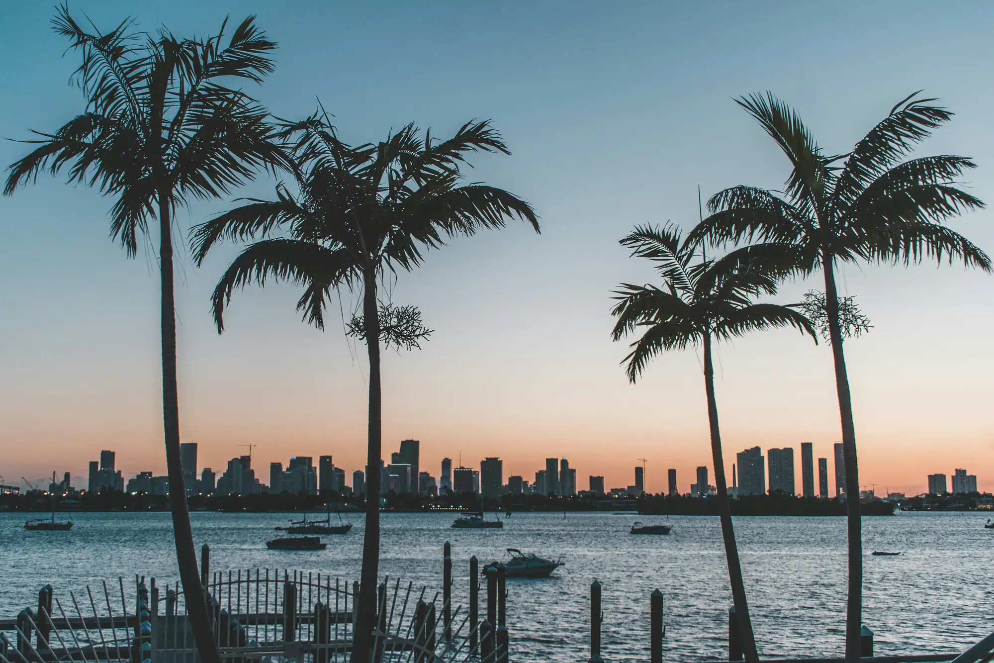 Palm trees frame boats in the harbor with a sunset city skyline, evoking NYC serenity and expertise.
